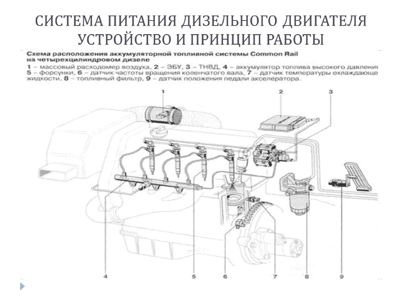 СИСТЕМА ПИТАНИЯ ДИЗЕЛЬНОГО ДВИГАТЕЛЯ УСТРОЙСТВО И ПРИНЦИП РАБОТЫ